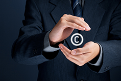 Intellectual Property Rights
