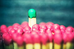 SBS Endorsed - Adaptive Leadership: Tools and Tactics