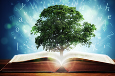 Certified Learning and Development Strategist