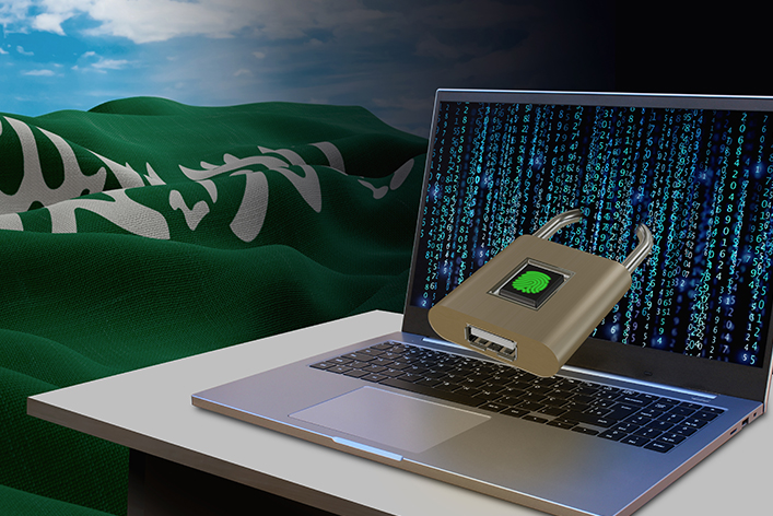Implementing a Personal Data Protection Law Framework
